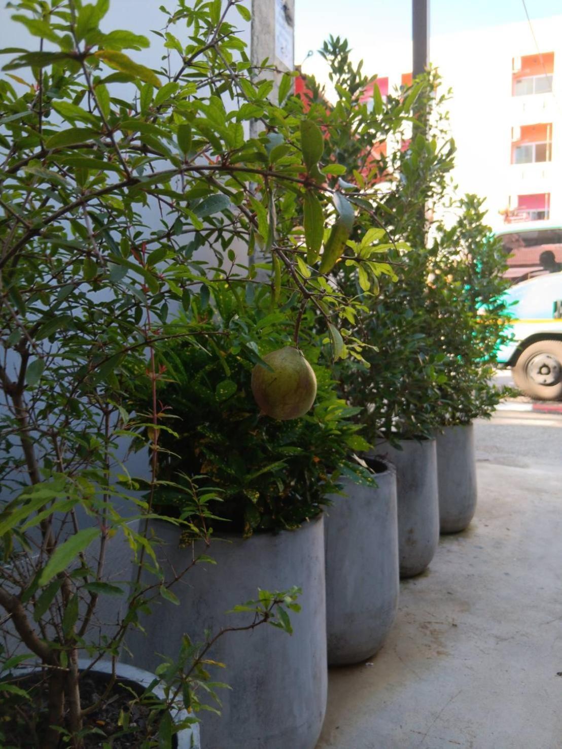 The Brown Boutique Patong Hotel Luaran gambar